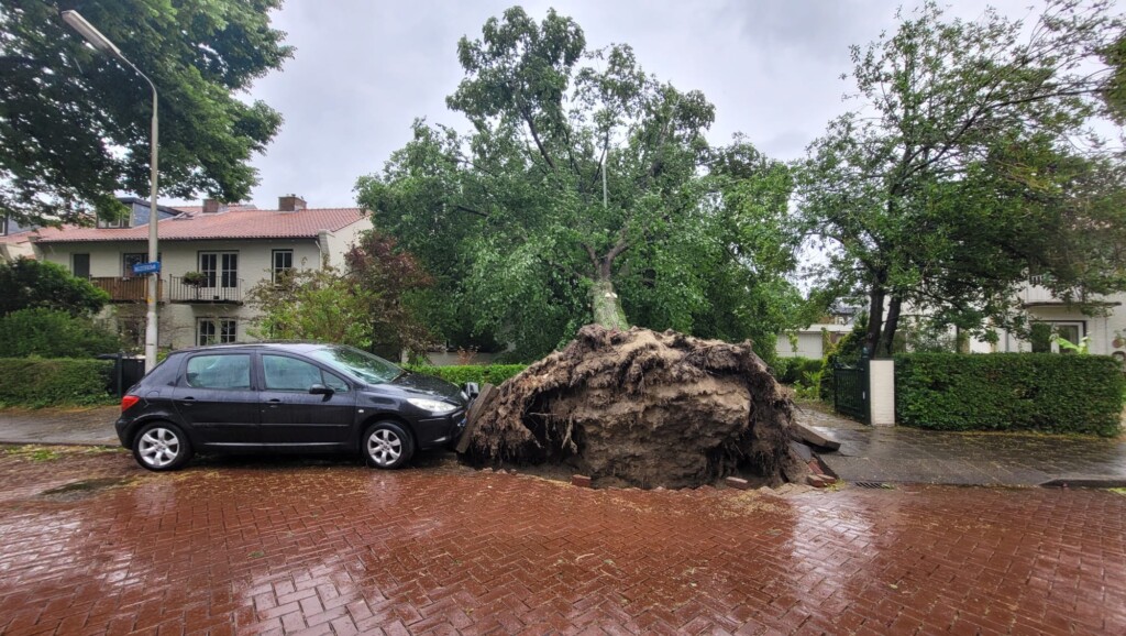 Stormschade Vanwege Poly, Zwaarste Zomerstorm Ooit – RTV Seaport